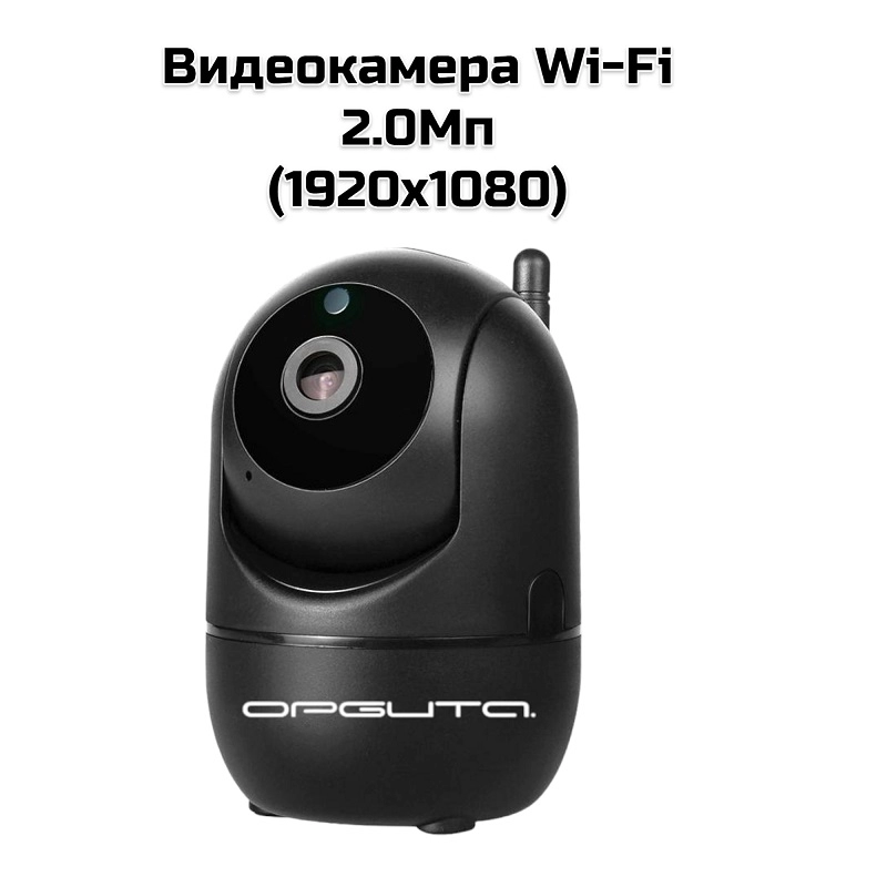 Видеокамера Wi-Fi 2.0Mп(1920×1080) (NI20) (Черный)